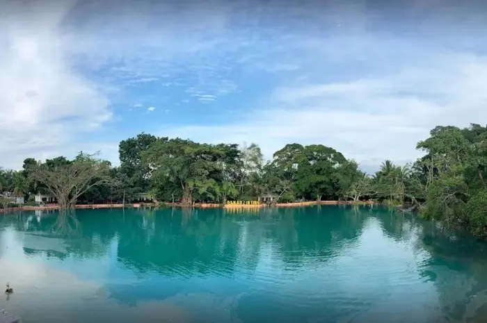 Danau Linting, Keindahan Alam dan Pesona Mistis di Sumatera Utara