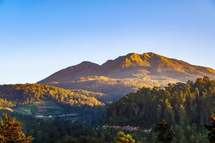 Fakta Menarik tentang Gunung Lawu yang Dikenal dengan Keindahan Alamnya